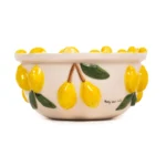 Feling Good Inside -Amalfi Coast Collection Citrus Splash Kase