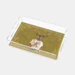 Vitelli Design Studio-Roman 25X17 Akrilik Tepsi